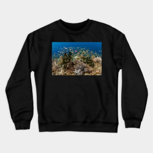 Heaven's garden Crewneck Sweatshirt